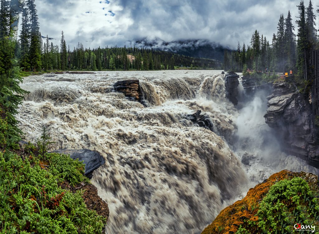 Athabasca-Wasserfälle